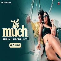 Too Much By Diler Kharkiya,Renuka Panwar Poster